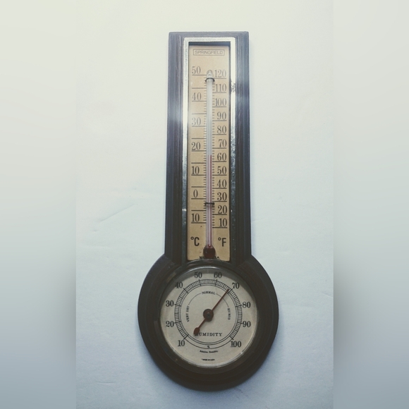 Vtg Springfield Temp & Humidity Gauge Works! - Picture 1 of 5